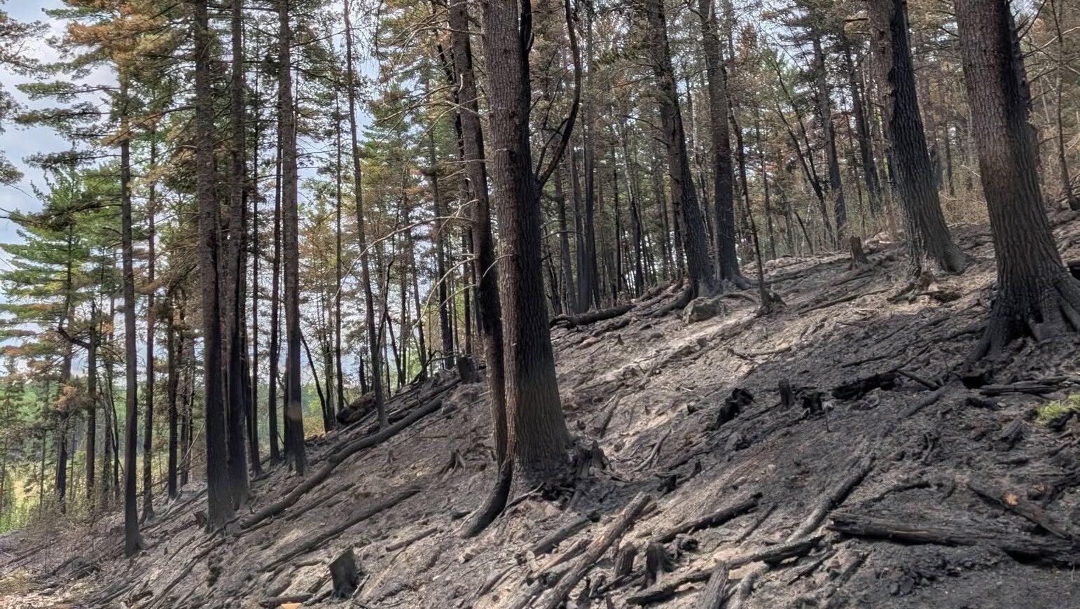 74-year-old who became separated from his family on a trail in Ely was discovered dead — KSTP 5, Tyler Community news