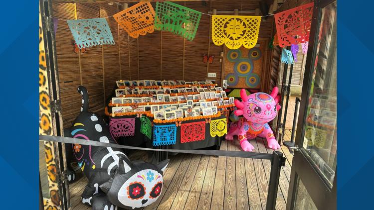 Cameron Park Zoo honoring past animals with ofrenda — Tyler Community news