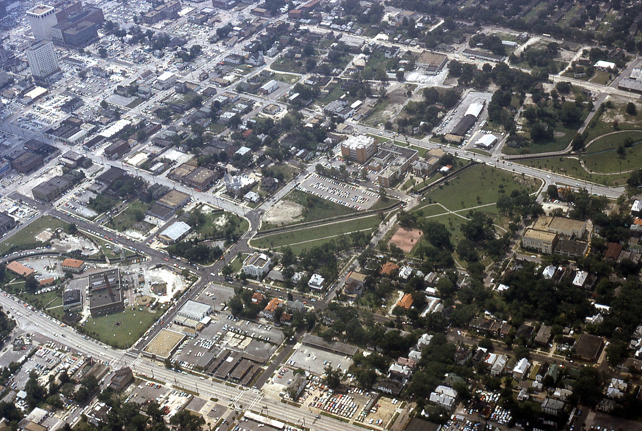 THE JAXSON | The oak tree that remembers Black Bottom — Jacksonville Today, Tyler Schools news